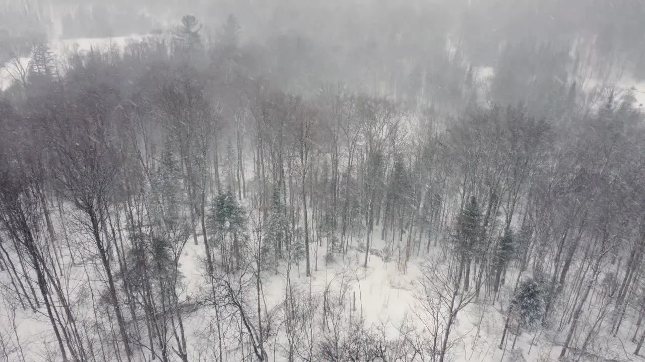 Drone flight through snowfall with view of snow-covered forested landscape