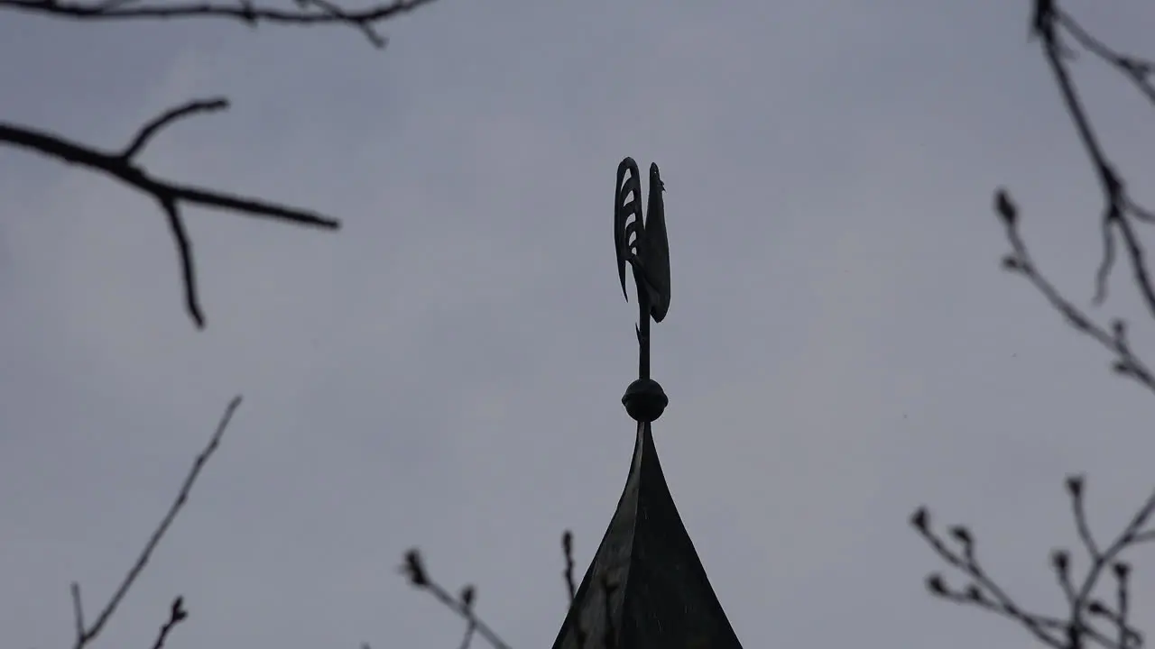 Germany rooster weather vane