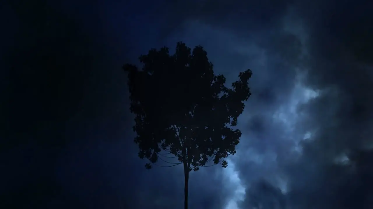 Thunder and tree at night