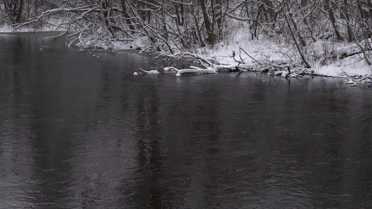 River in winter flowing water snowy broken tree in water