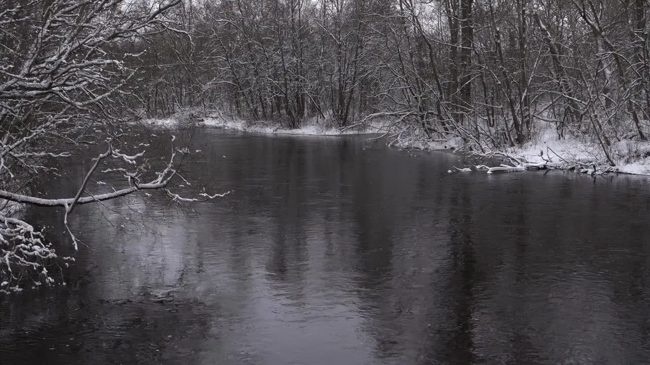 Winter river panorama snowy trees