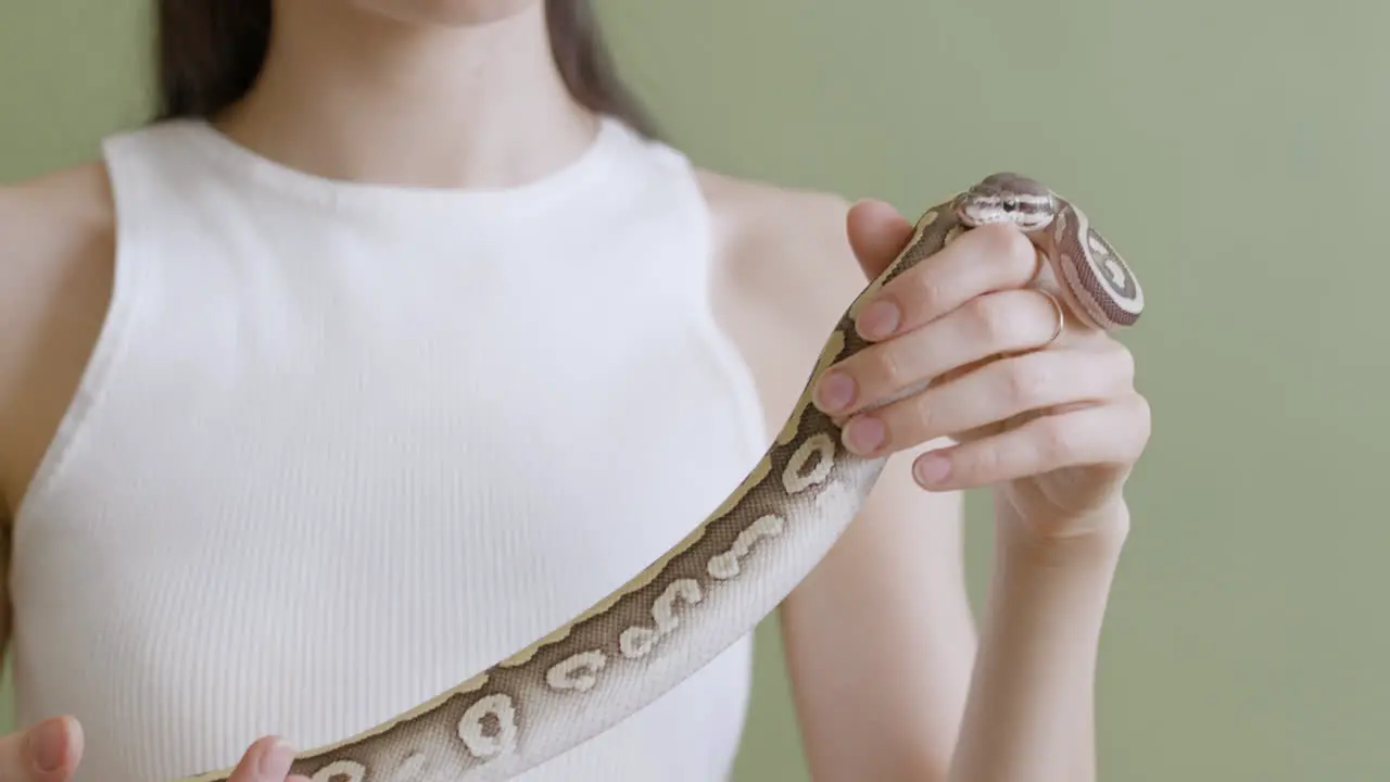 Close Up Of A Young Woman With Eyeglasses And A White Sleeveless Top Holding A Pet Snake On A Green Background