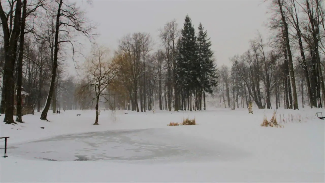 Snow is falling during winter in a city park