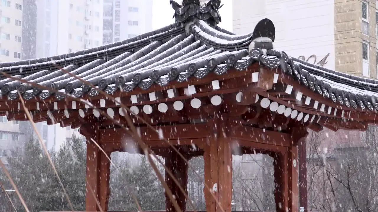 Gazebo in snowfall South Korea