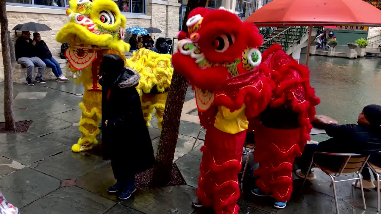 Chinese Dragons pose with guests at the Rivercenter Mall for the Concucius Lantern Festival 4K30fps Slow Motion