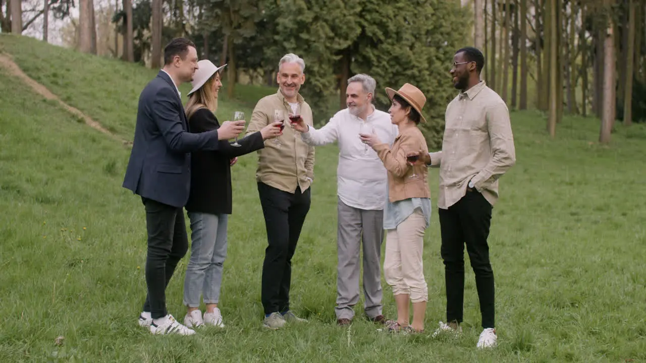 Distant View Of A Group Of Middle Aged Friends Stading In The Park And Toasting With Wine During An Outdoor Party