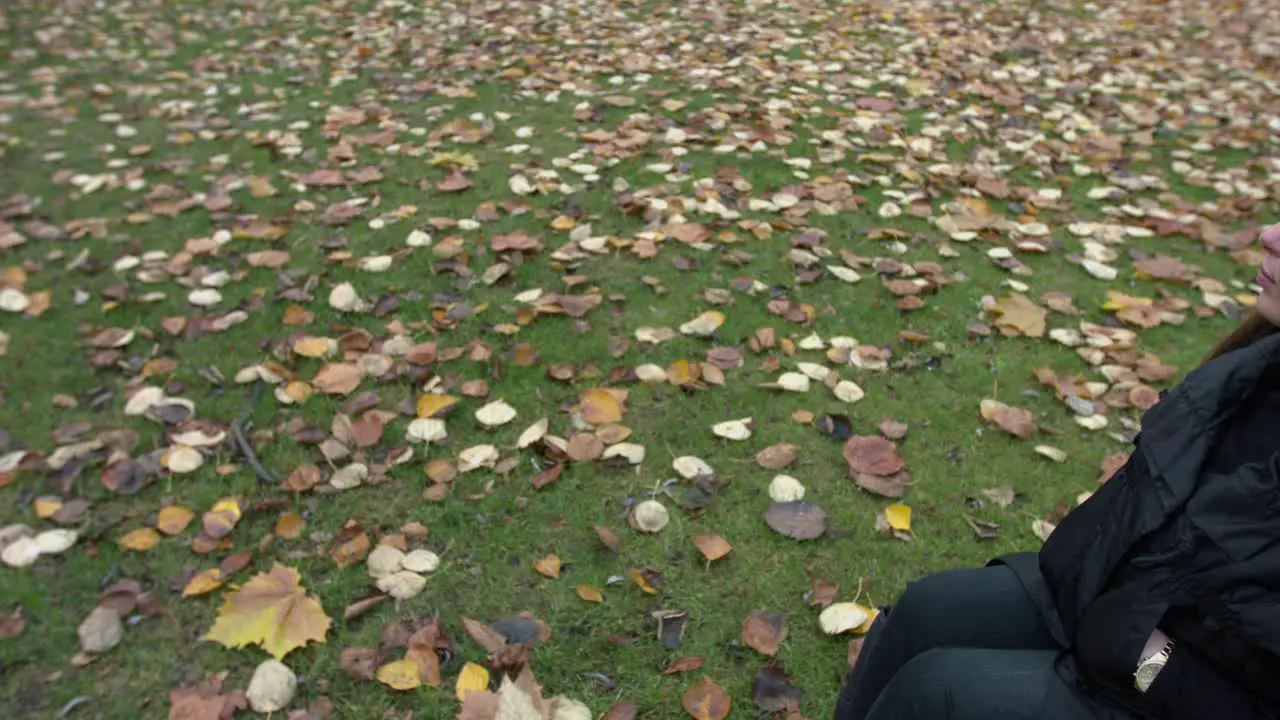 Woman On Wheelchair Wearing A Black Jacket Looking At The Camera Wide Pan Shot