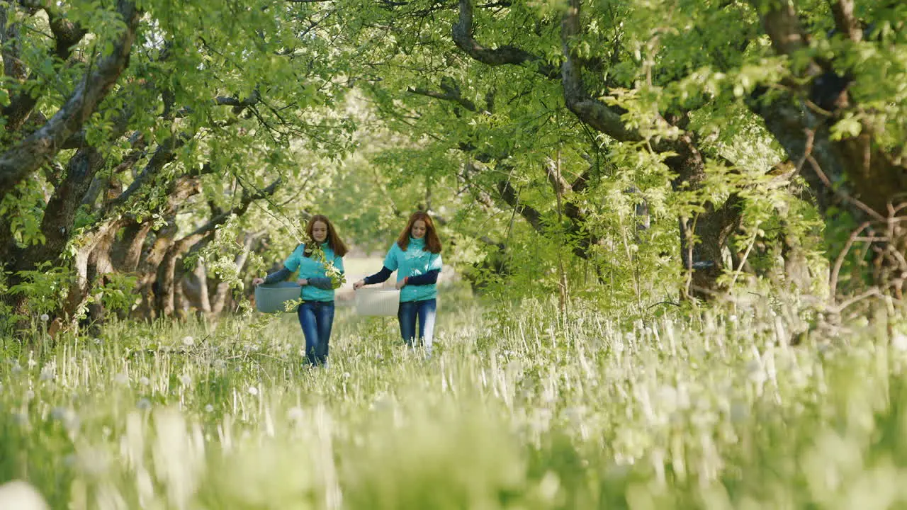 Two Young Female Red-Haired Farmers Come With Baskets In The Apple Garden 2