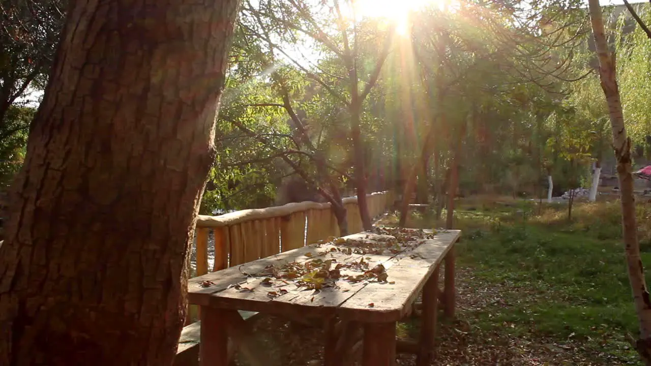 Wooden table with bench by river in garden bathed in autumnal colors