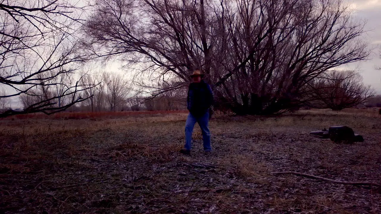 A dusk or dawn a man walks through a gloomy forest