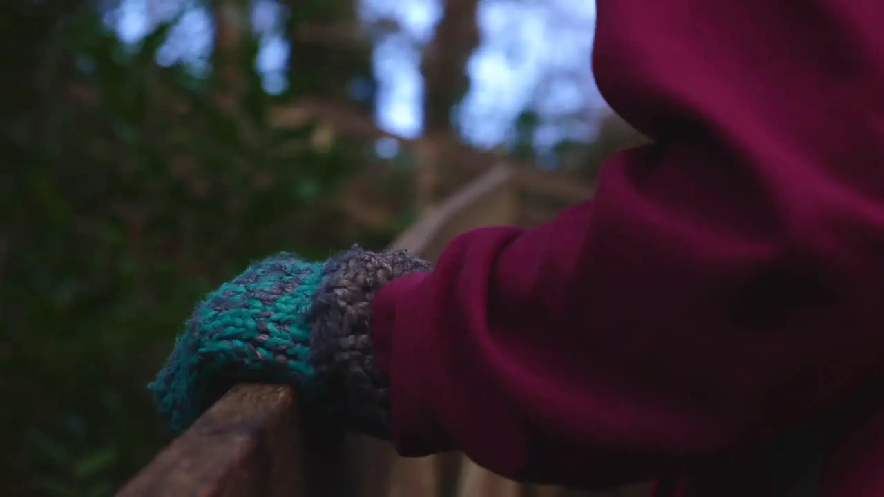 Hand Sliding Up Wooden Beam in Forest