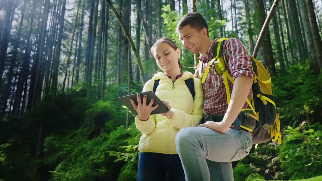 A Couple Of Tourists With Backpacks Orient Themselves In The Forest Use A Tablet The Beautiful Rays 