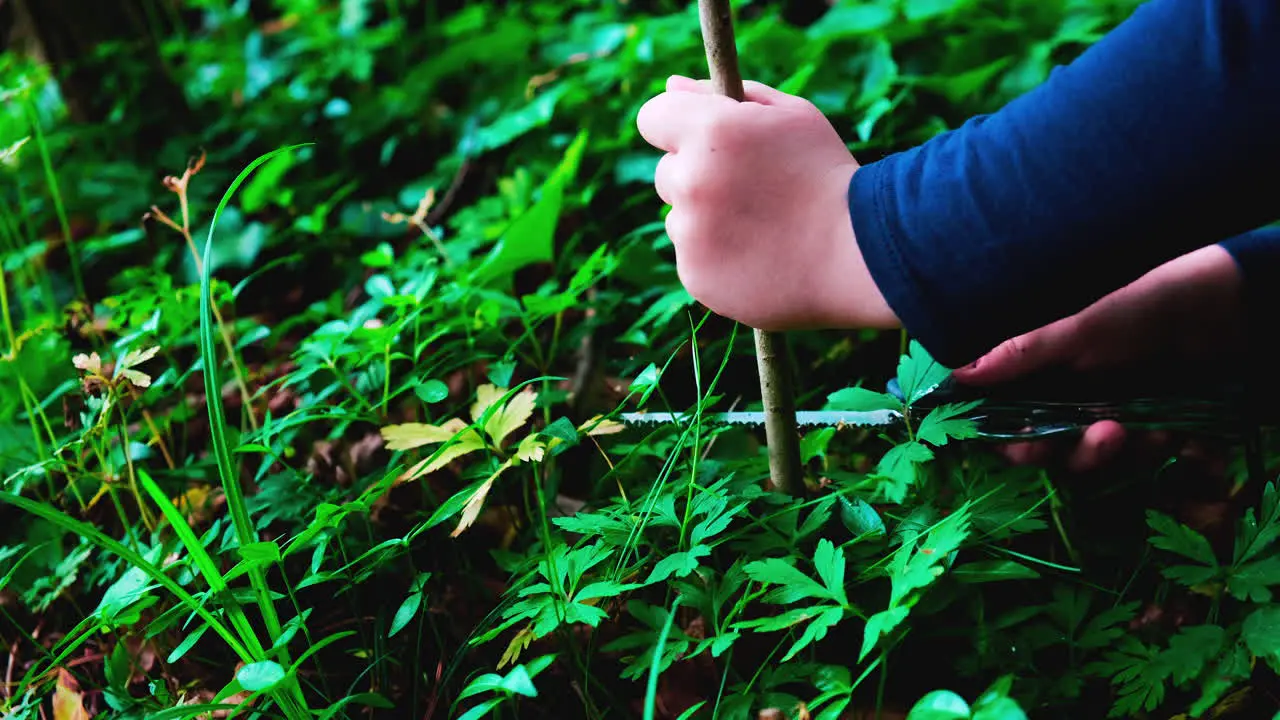 Hands of a little girl or boy using a Swiss knife sawing a piece of wood in the forest nobody-2