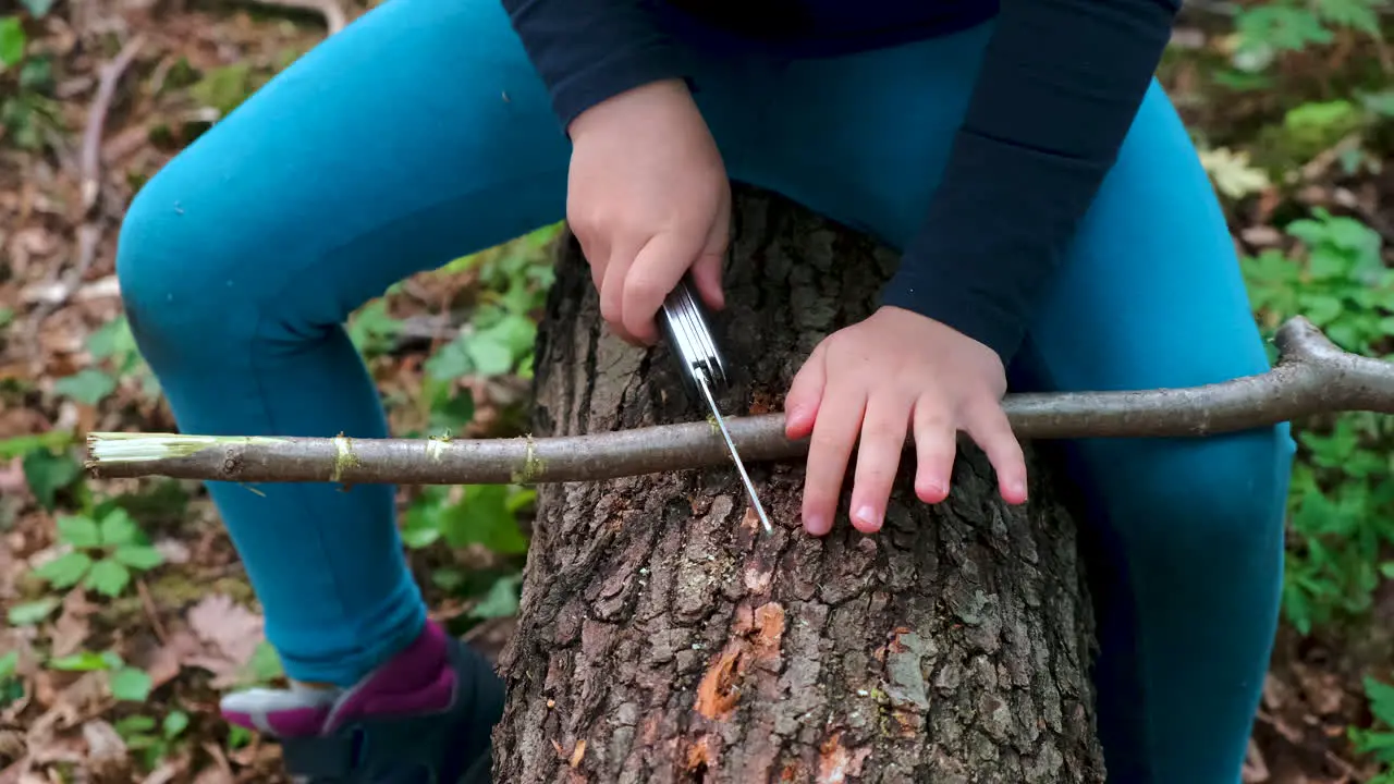 Hands of a little girl or boy using a Swiss knife sawing a piece of wood in the forest nobody-1