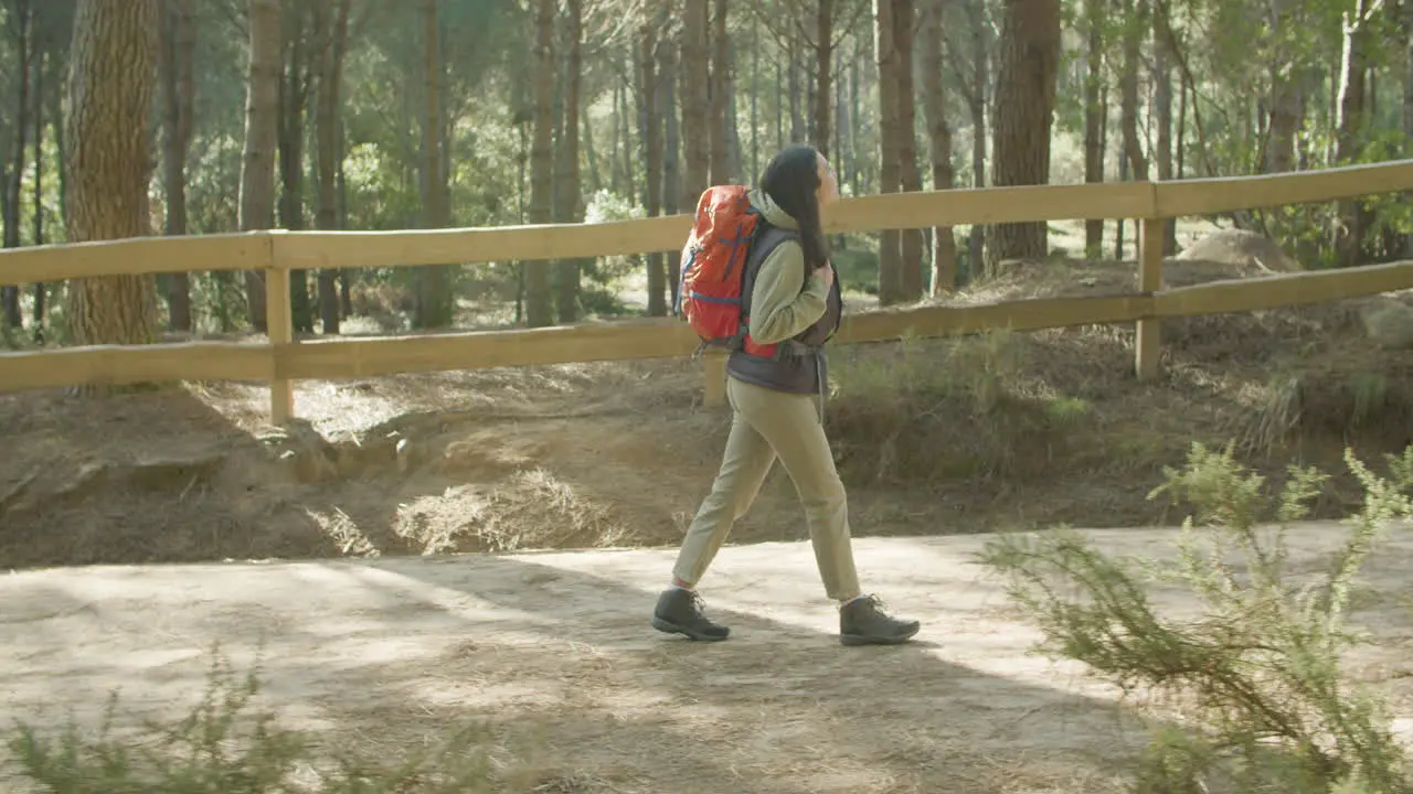 Beautiful Young Female Backpacker Walking Alone In The Forest