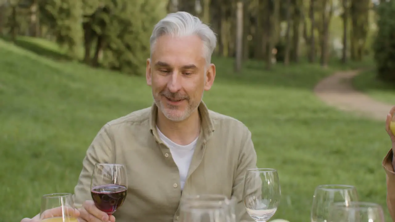 Group Of Mature Friends Drinking With Juice And Wine During An Outdoor Party In The Park