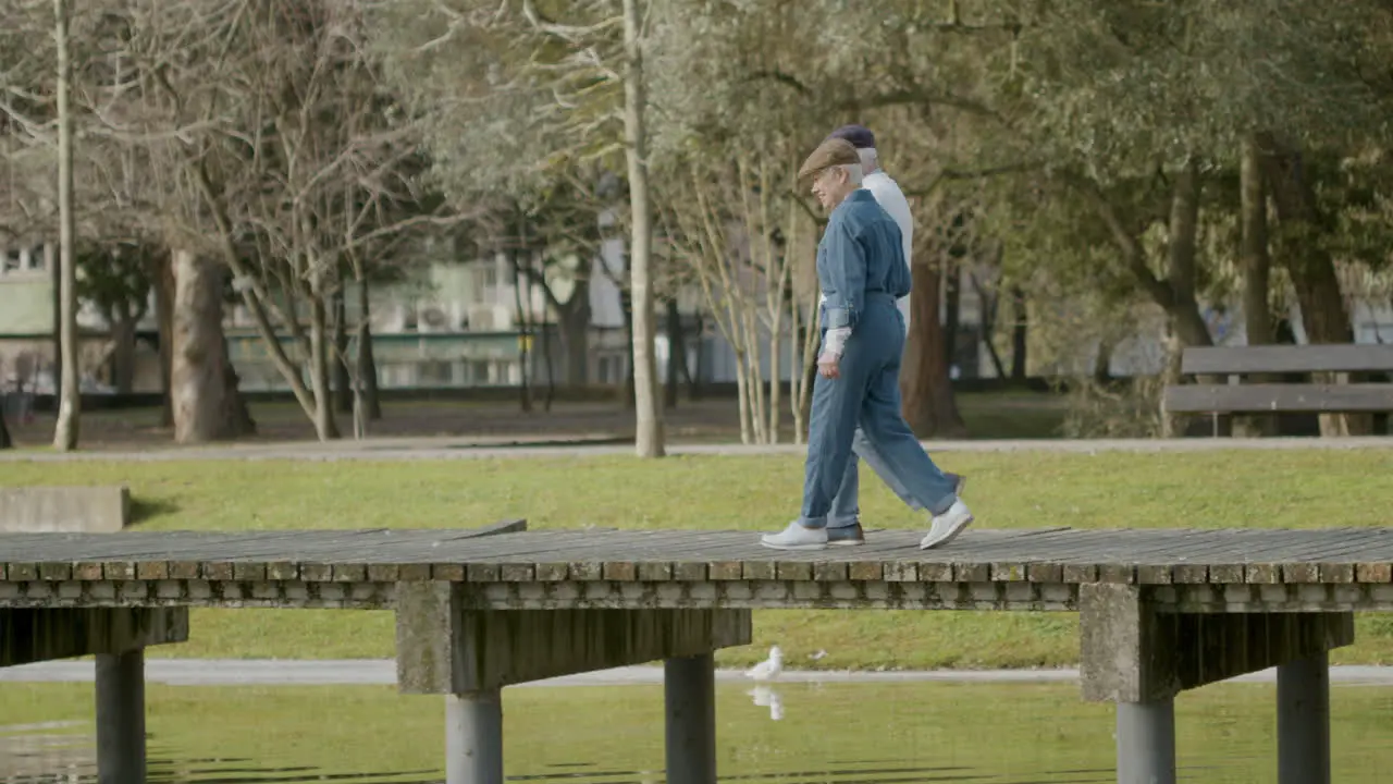 Elderly Couple Walking In City Park On Warm Autumn Day