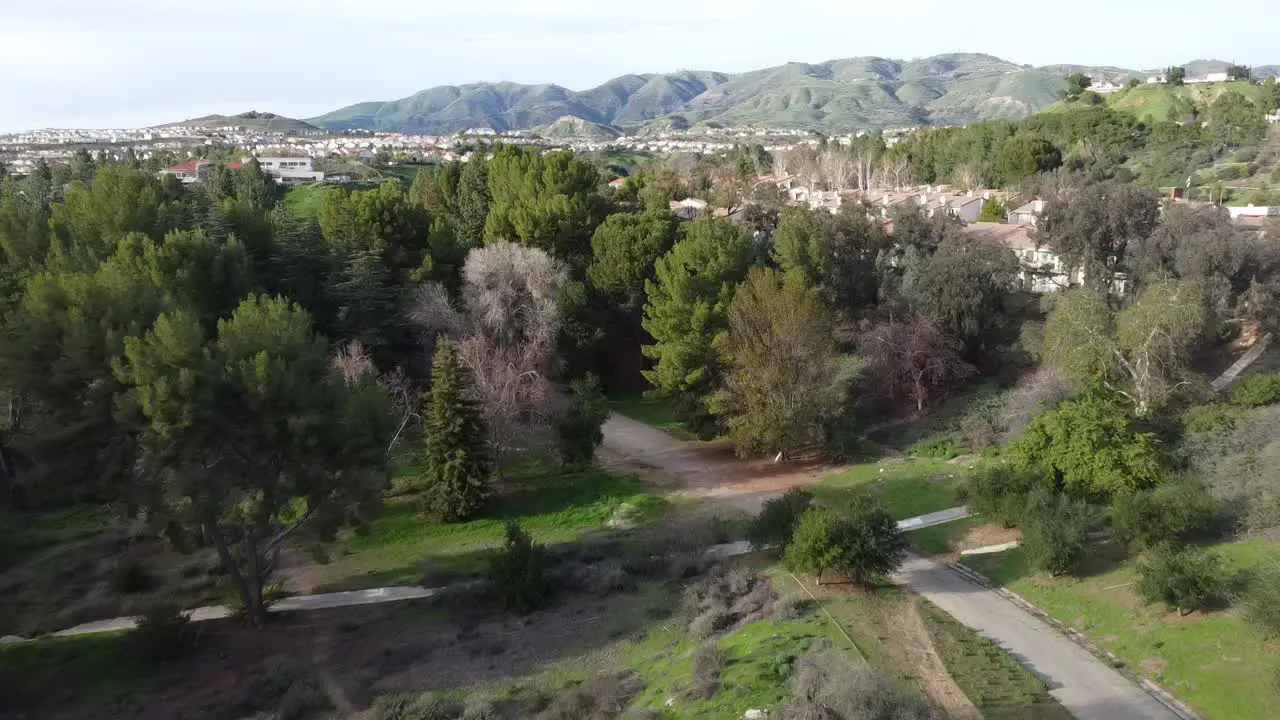 aerial view of lovely tree grove