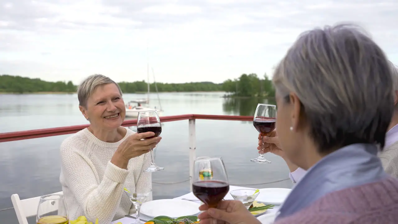 A Group Of Senior Friends Having Dinner Together