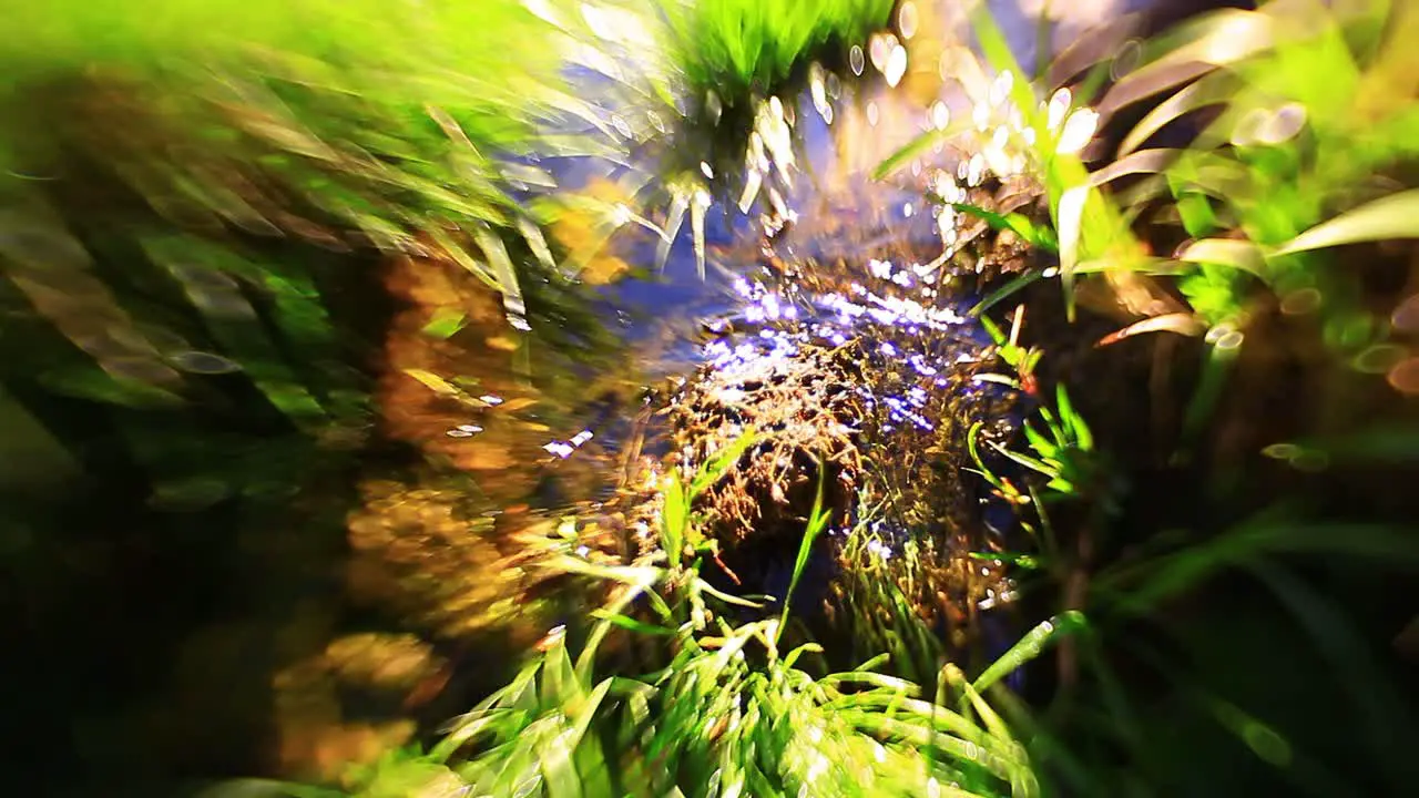 Close up of a beautiful spring river flowing between the green grass with strong bokeh in the corners