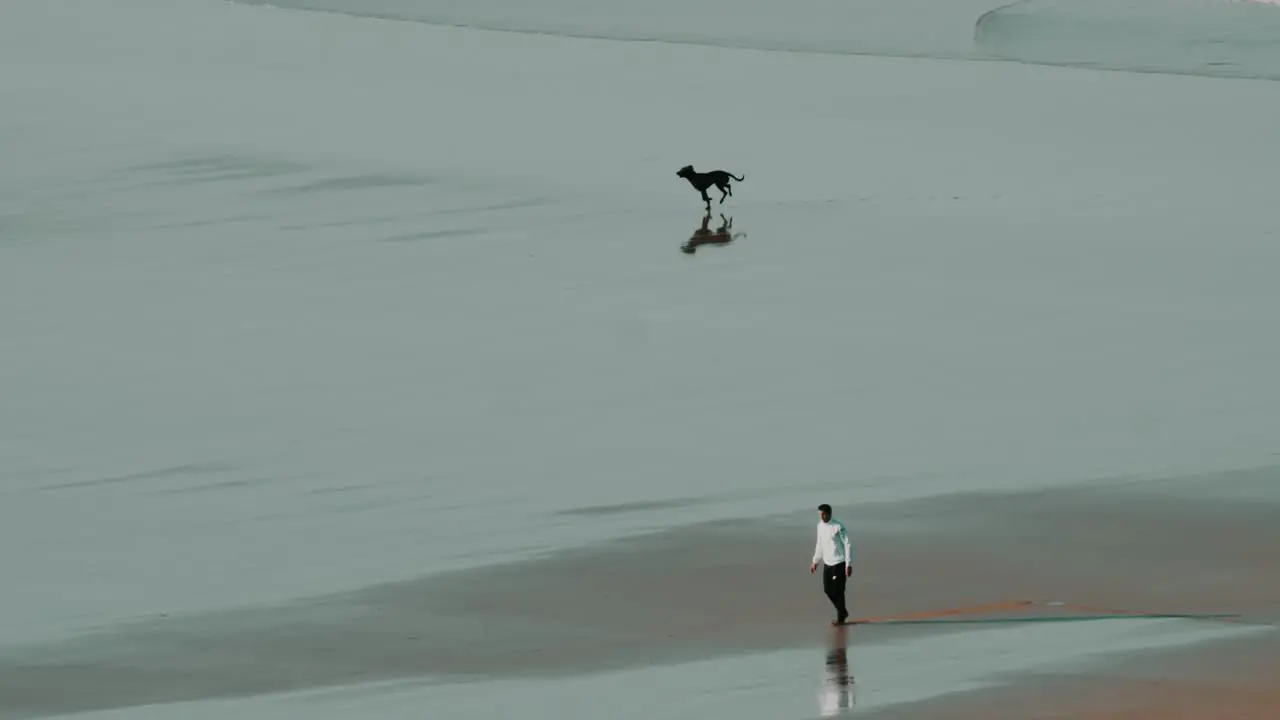 A dog running and having fun on the beach with his master in slow motion