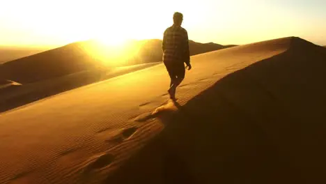 Alone among the dunes