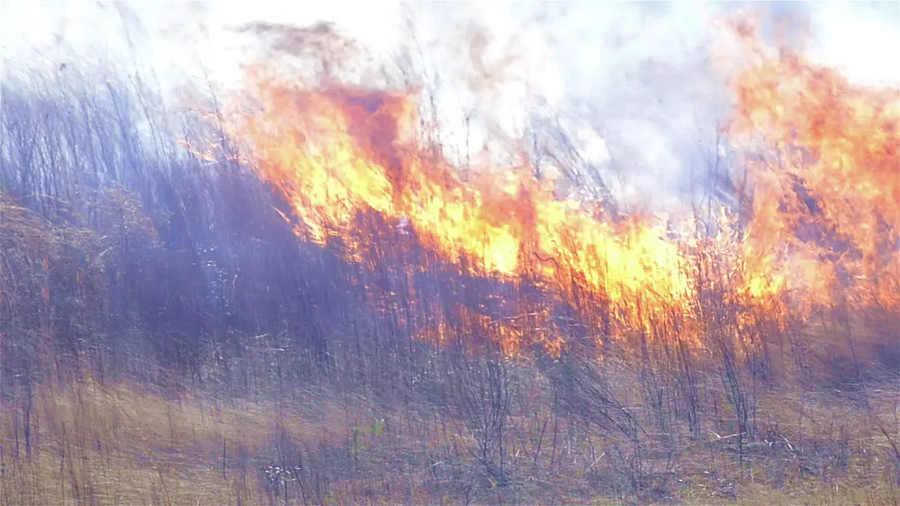 Wide view of a prescribed grass burn on a powerline corridor near Baxley Georgia