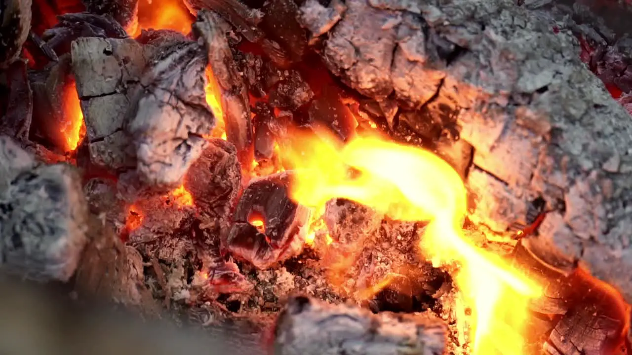 Close up shot of burning and hot charcoal coals