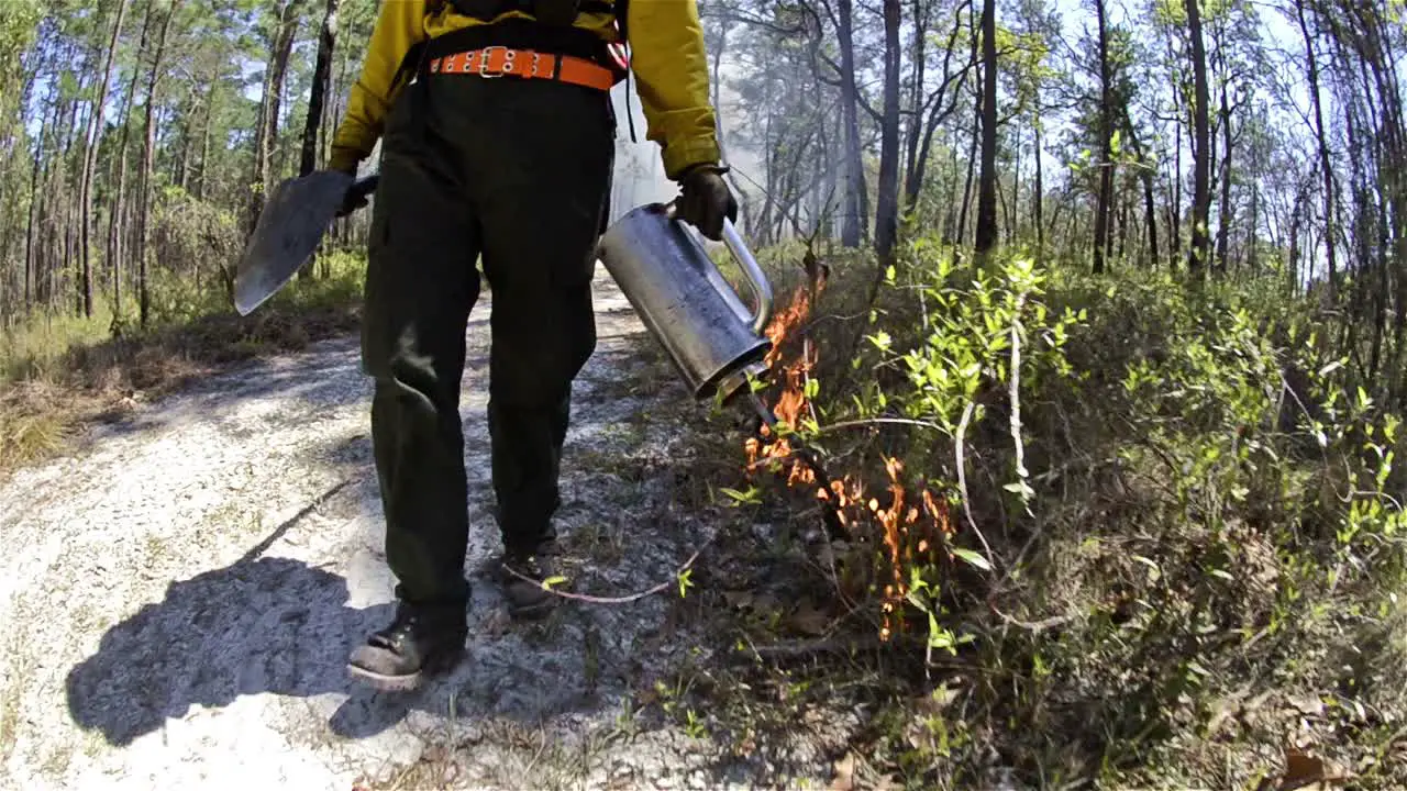 A fire crew member lighting a prescribed fire with a drip torch in Moody Forest Natural Are