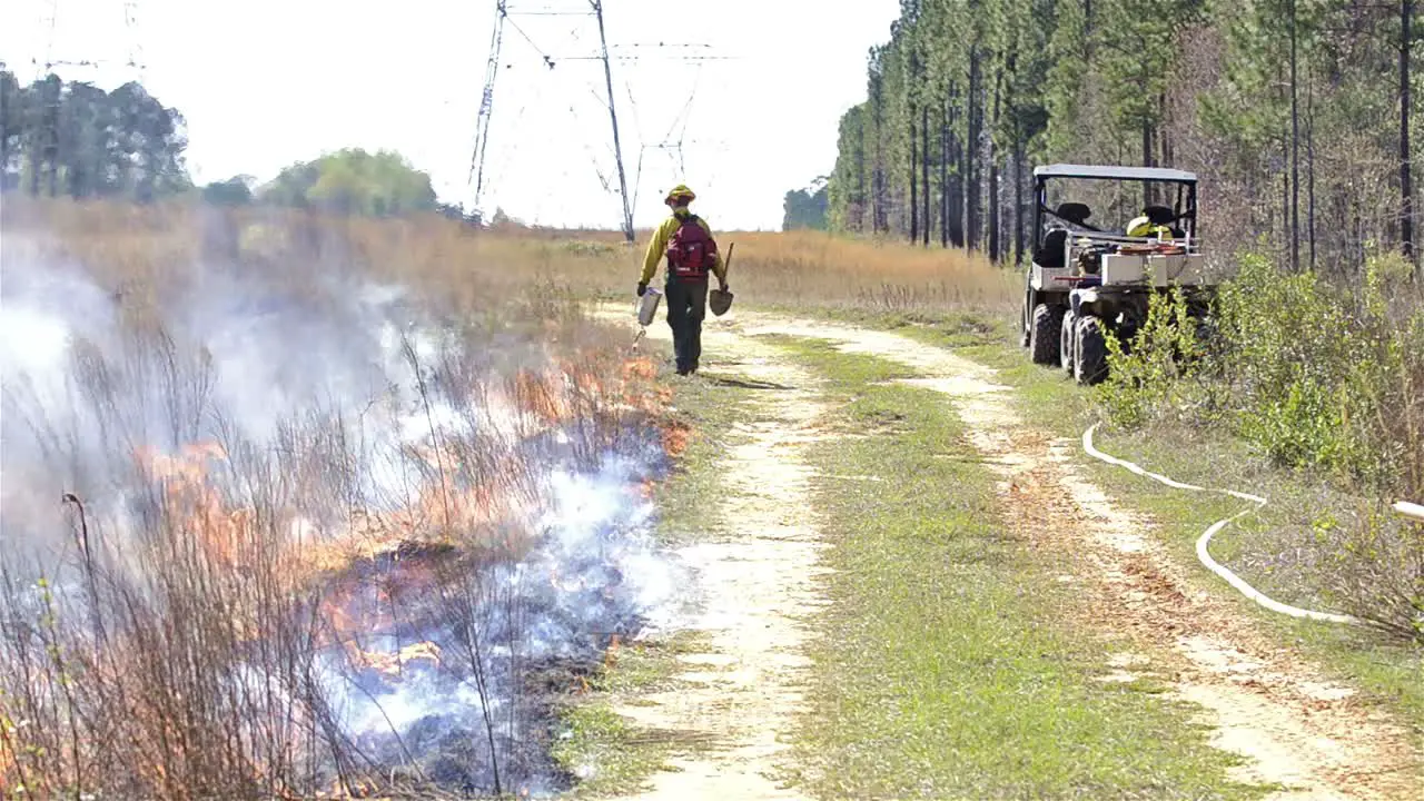 A fire crew member lighting a prescribed fire with a drip torchvnear Baxley Georgia