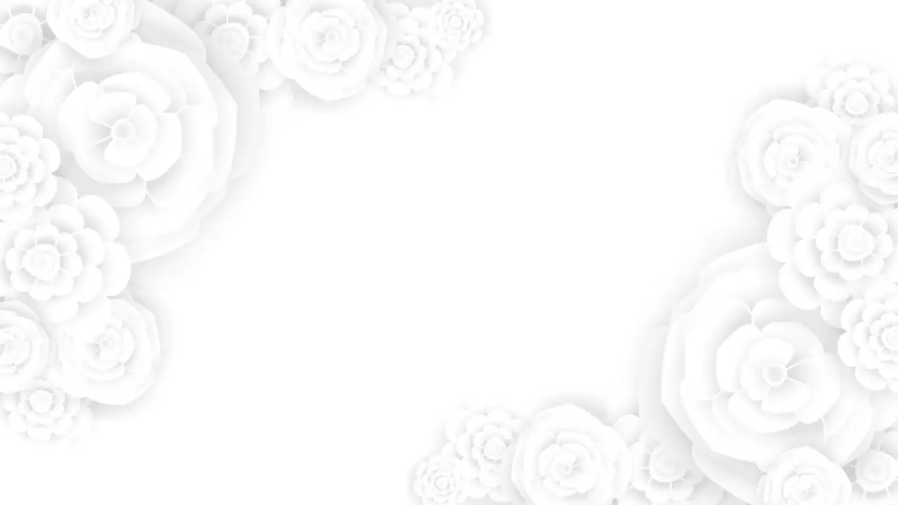 BEAUTIFUL WHITE FLOWER BACKGROUND HD