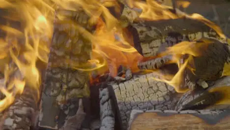 Close Up Shot of a Burning Campfire 03