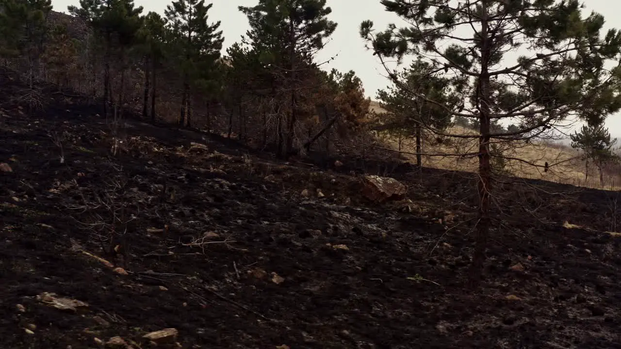 Effect of climate changes on hills after a fire left land destroyed