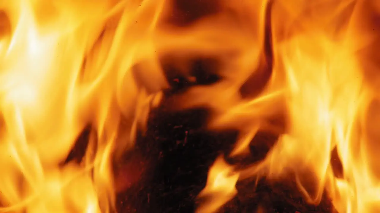 Close up shot of Burning Flame At Fireplace on wooden logs