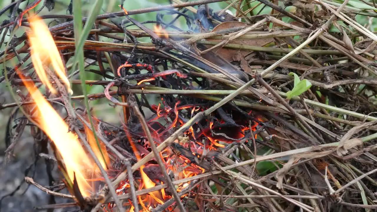 Close-up of fire burning grass