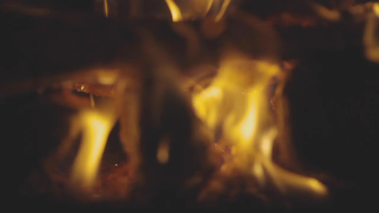 Close up macro shot of logs burning in a fire pit