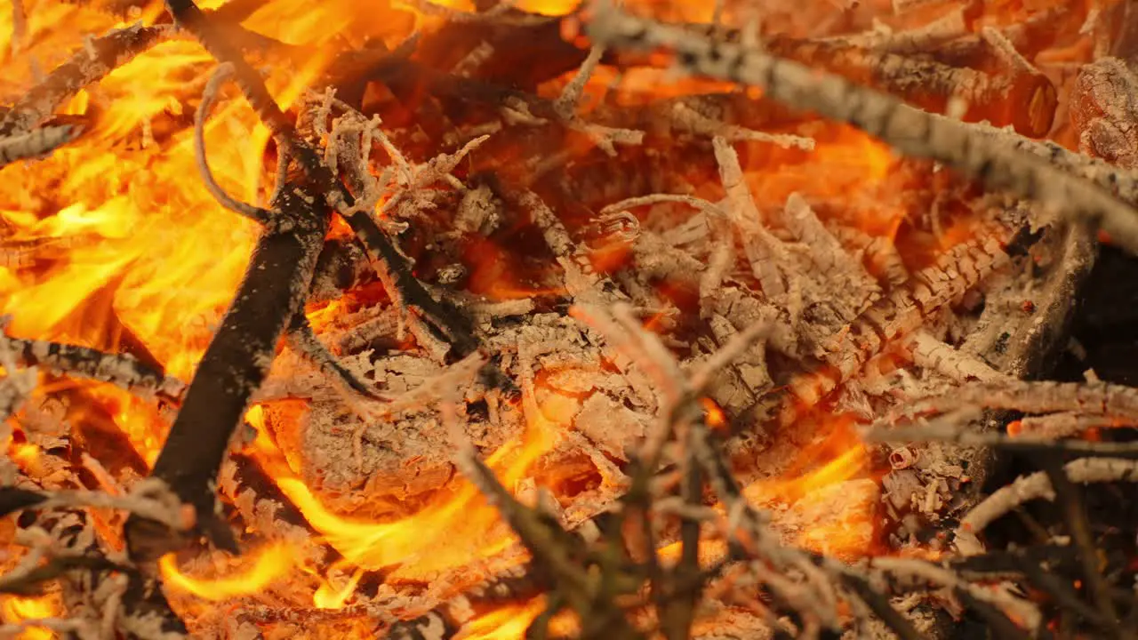 Burning pile of branches in closeup red and orange fire flames