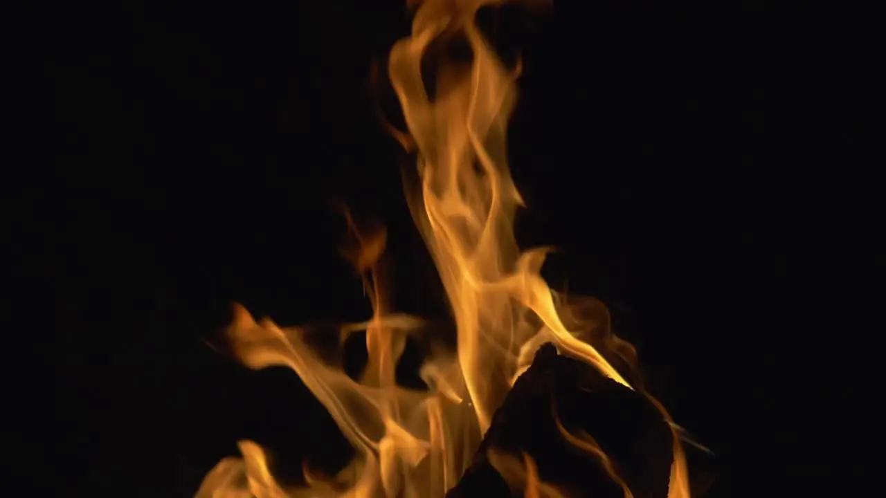 Campfire Close-Up View At Night Camping Outdoor