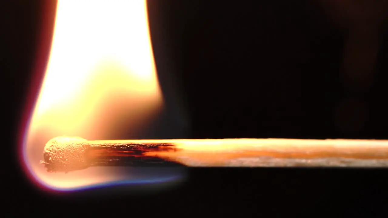 Slowmotion macro shots of matches being lit and running out creating different shapes