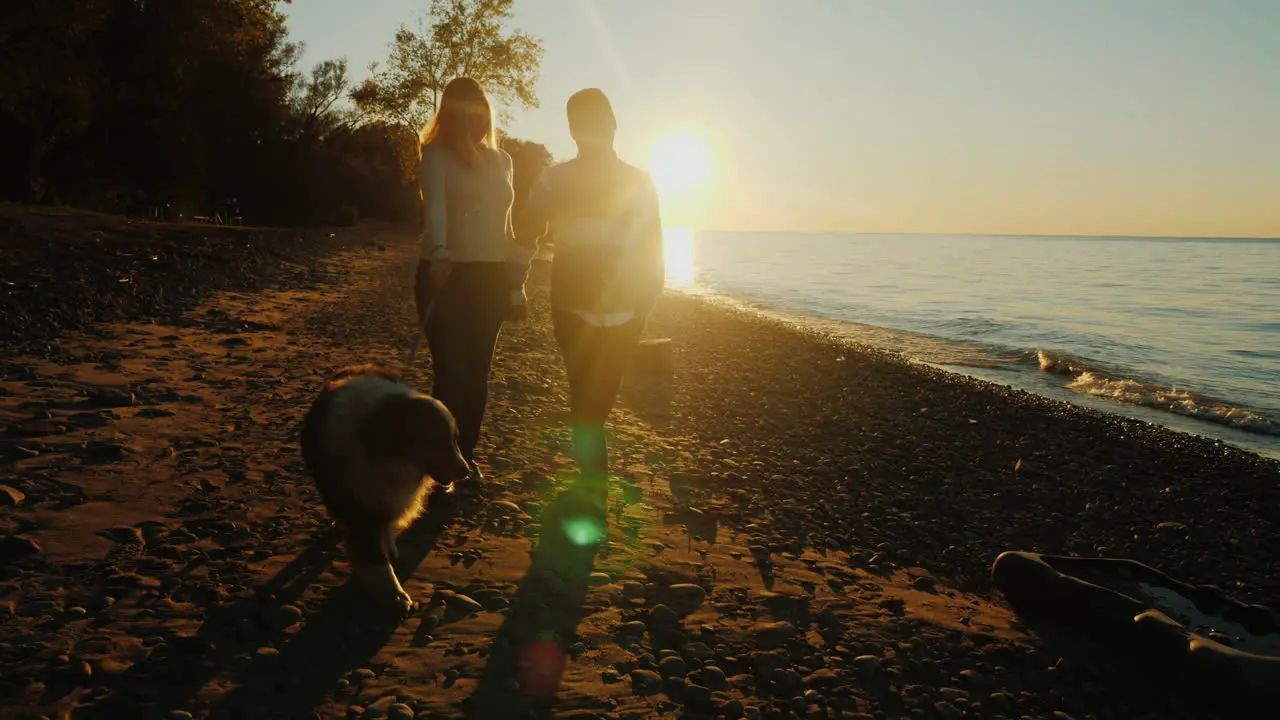 Couple Walk a Dog at Sunset