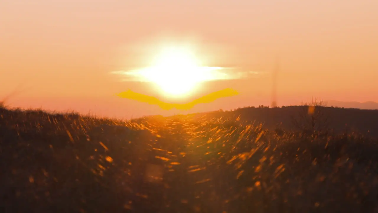 Windy sunrise through grass in the mountains