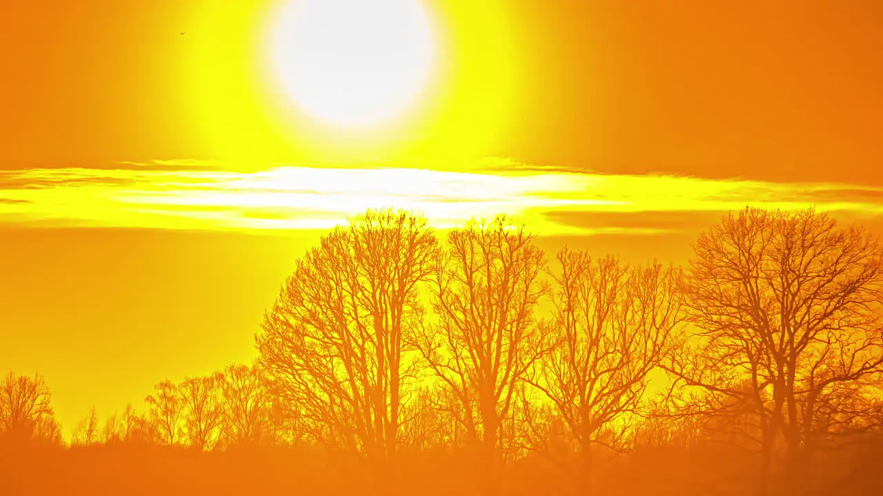 Bright golden sunset in the winter countryside time lapse of a bright fiery sun behind leafless trees