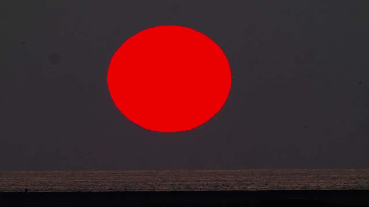 Long telephoto shot of red giant sun setting above ocean horizon line with birds silhouettes passing by static