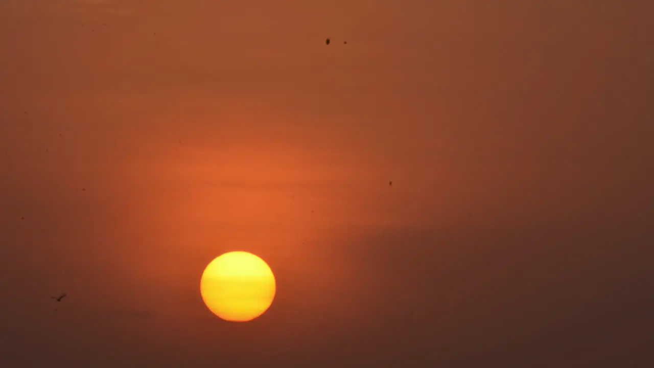 Timelapse of rising sun on the sky with clouds rays of sun shining through clouds