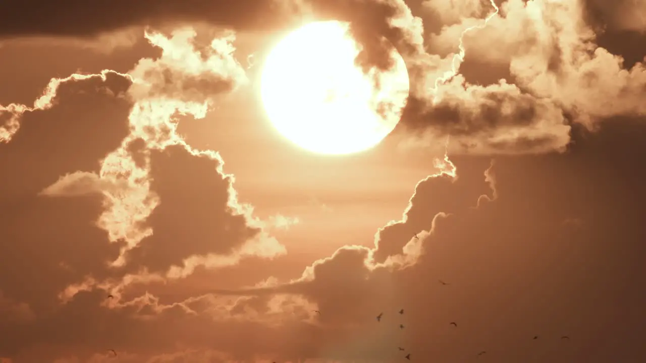 sun and clouds with bird silhouettes flying in distance