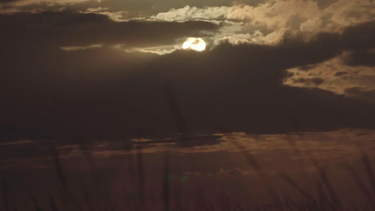 dark sunset landscape shot with sawgrass in foreground