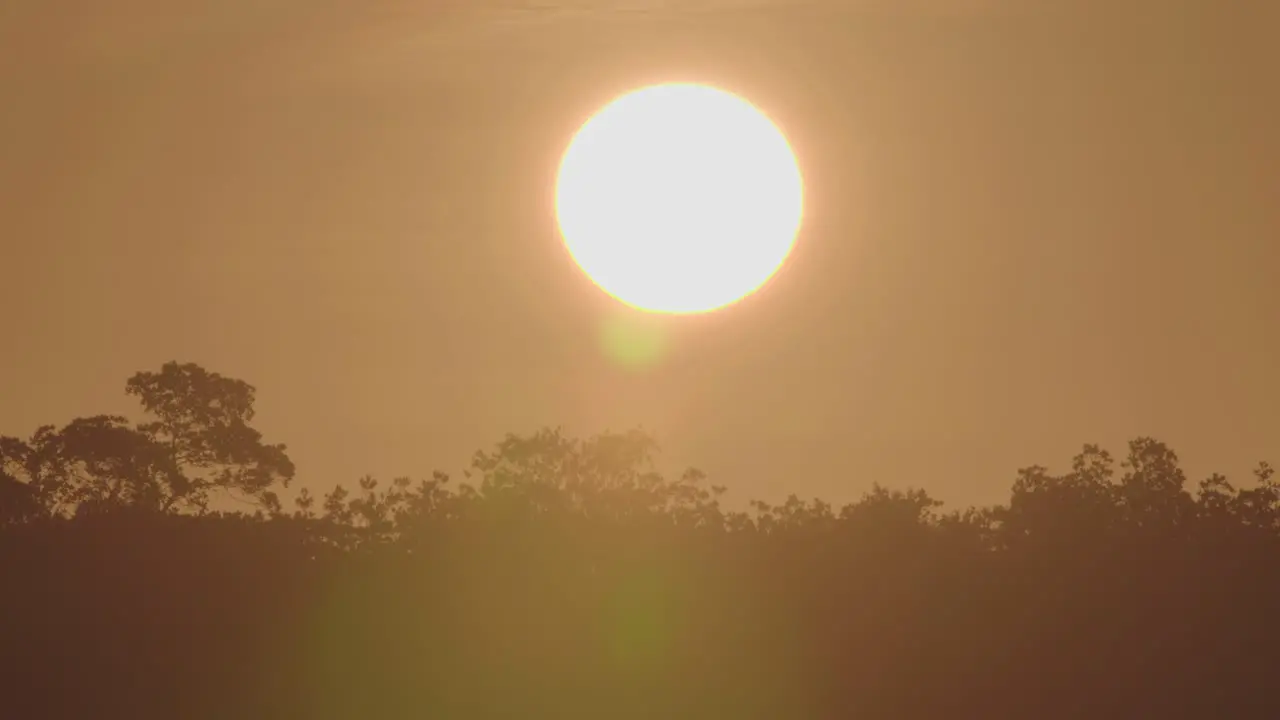 warm sunrise landscape with bird silhouettes flying by