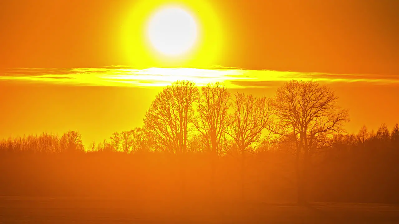 Bright yellow sunset time lapse over the silhouette of the forest trees in winter