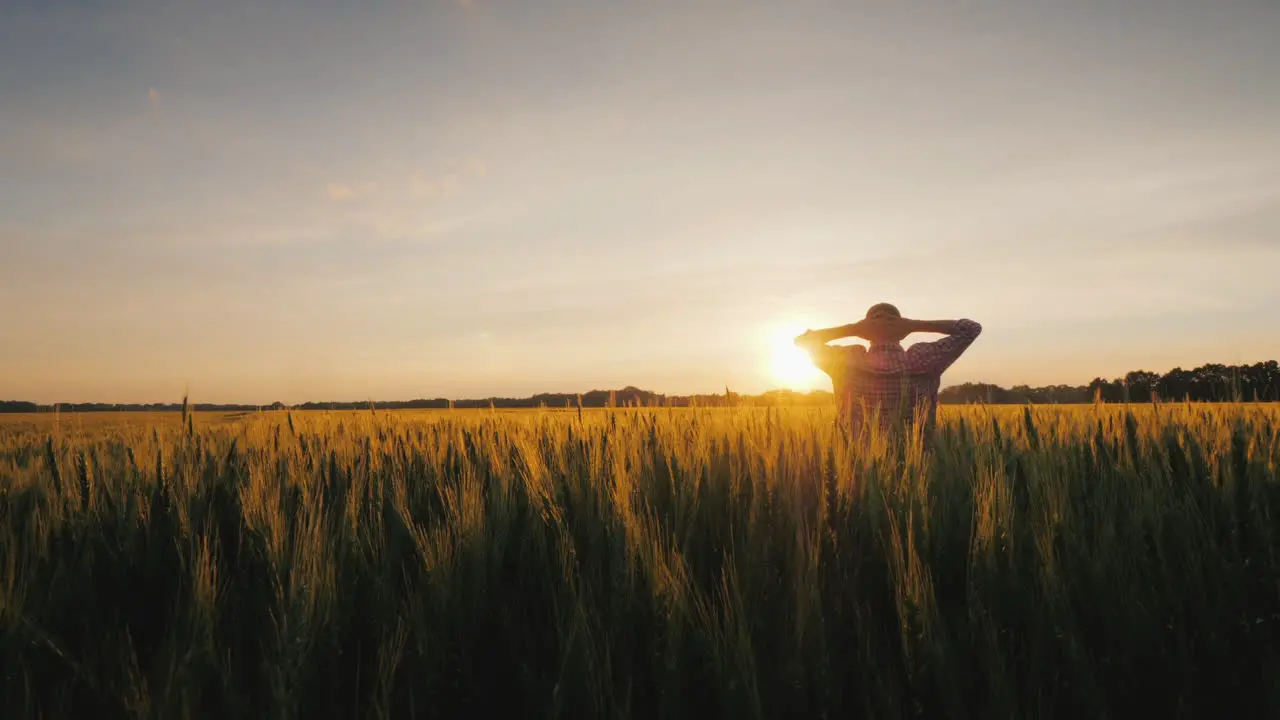 A Successful Farmer Looks At His Wheat Field At Sunset