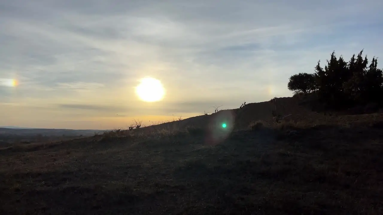 Sunset at vineyards camera panning in Aranda de Duero Spain